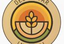 El Despertar Integral