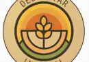 El Despertar Integral